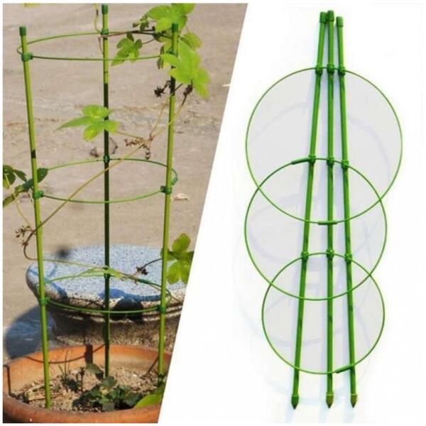 Ringstøtte for planter blomster grønnsaker 30x90 cm XL ROS23 - Bilde 3